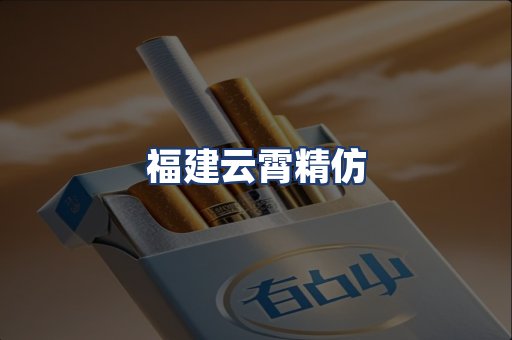 福建云霄精仿